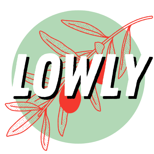 Lowly Food