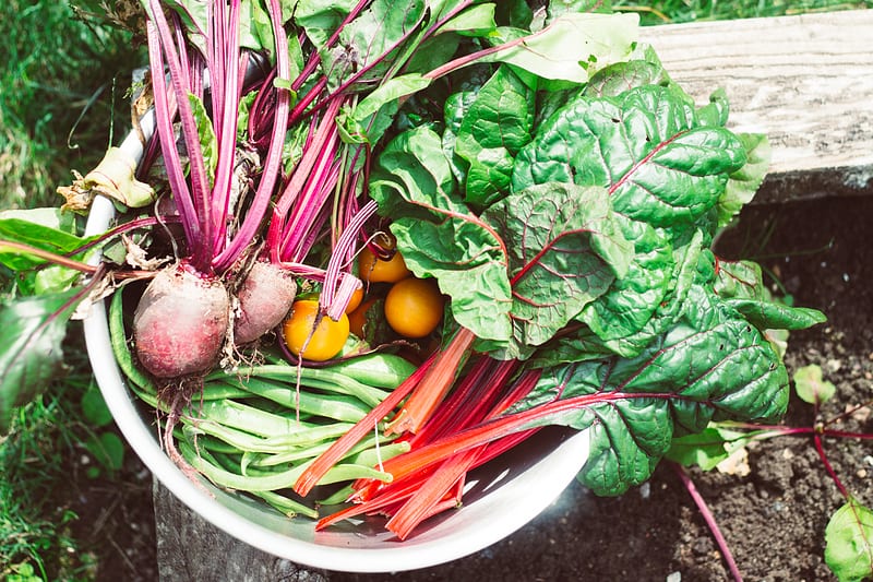 How To Eat Low Carbon In Four Simple Steps