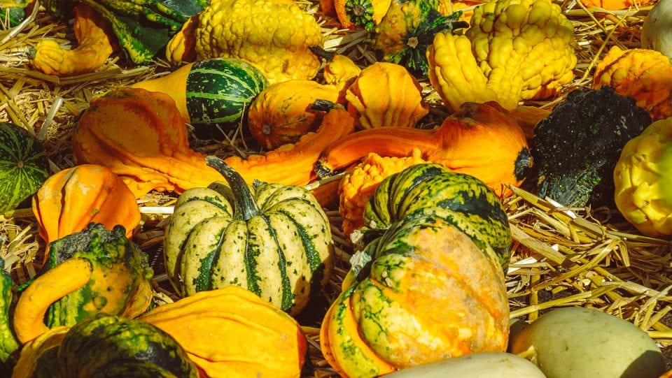 Credit Alexander Schimmeck on Unsplash