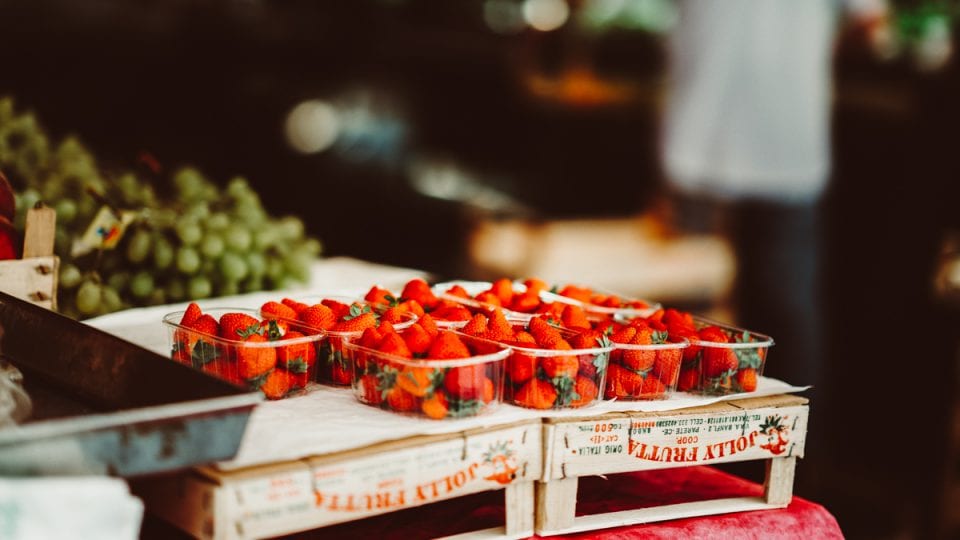 Credit Annie Spratt on Unsplash