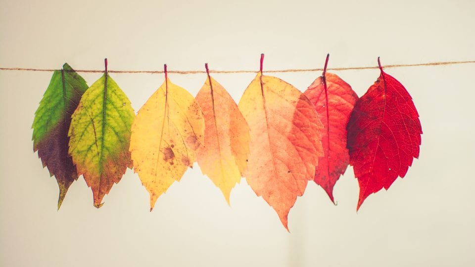 Credit Chris Lawton on Unplash