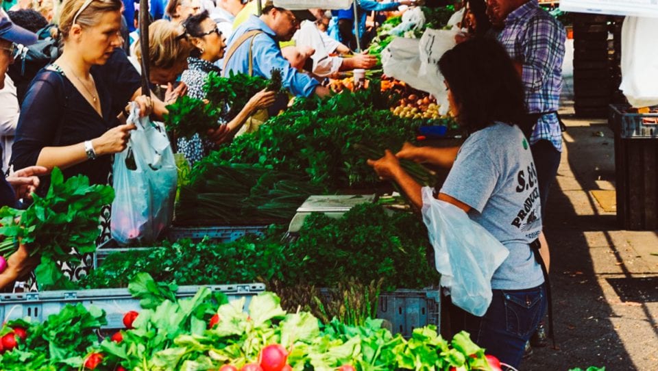 Credit Megan Markham on Unsplash